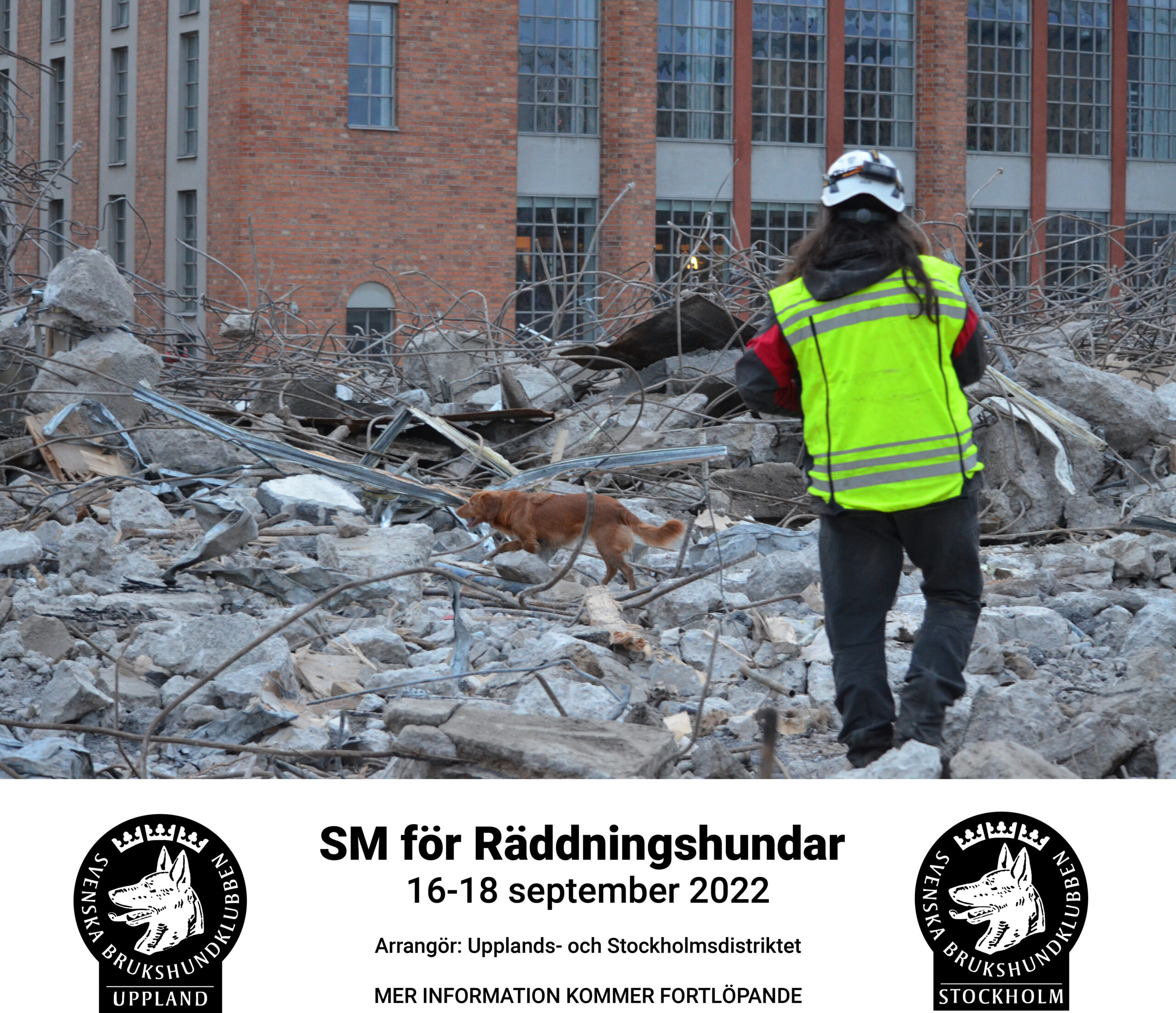 SM för Räddningshundar 16-18 september 2022