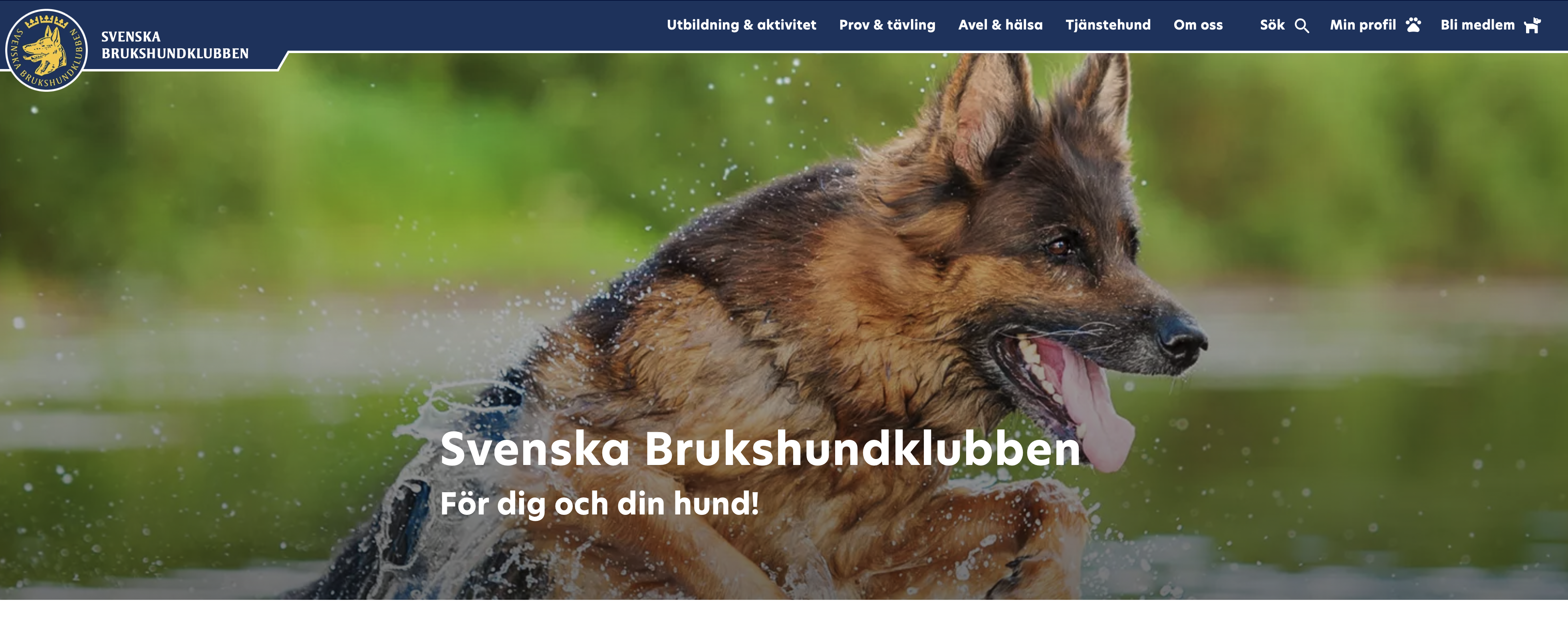 Skärmavbild 2022-03-30 kl. 18.27.31